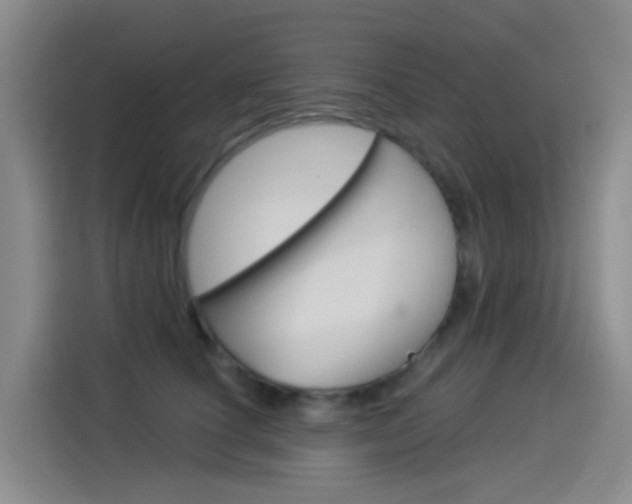 X0000114550660200910190952