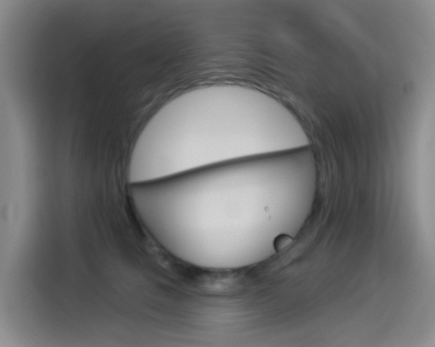 X0000114550661200910190952
