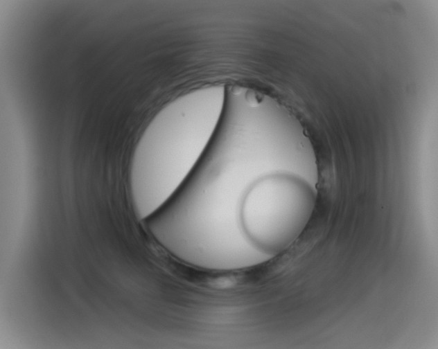 X0000114550662200910190952