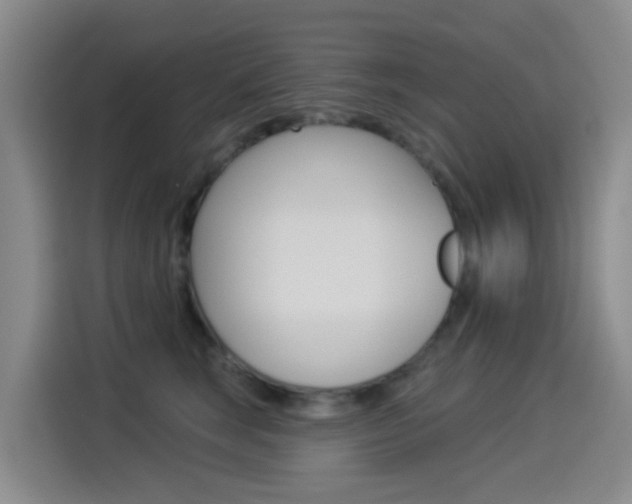 X0000114550663200910190952
