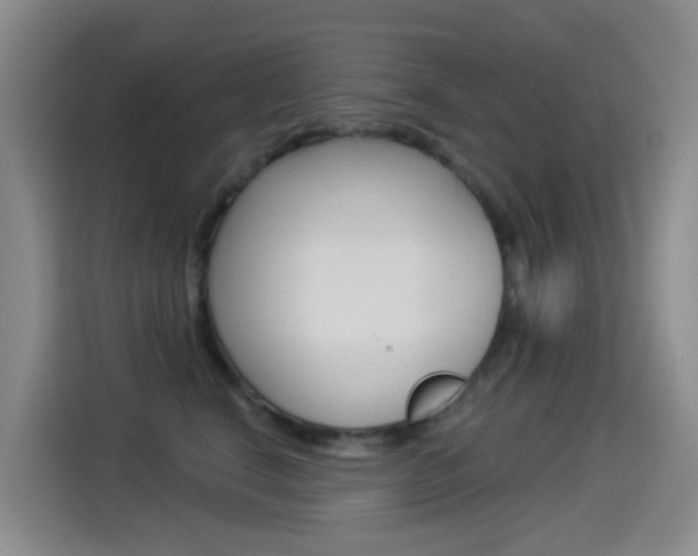 X0000114550664200910190952