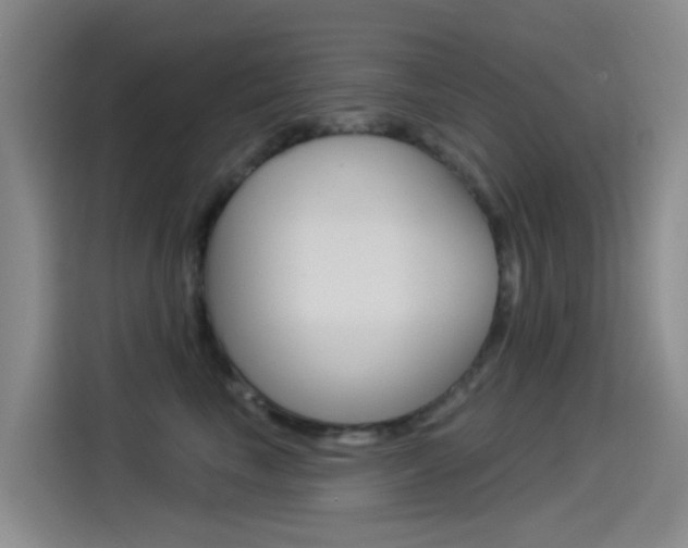 X0000114550665200910190952