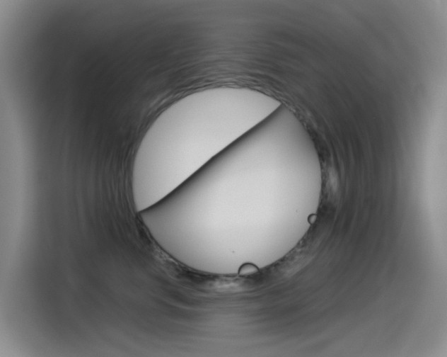 X0000114550668200910190952