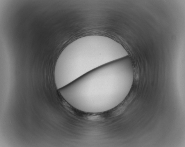 X0000114550669200910190952