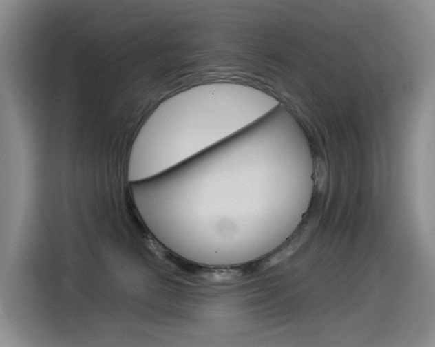 X0000114550670200910190952