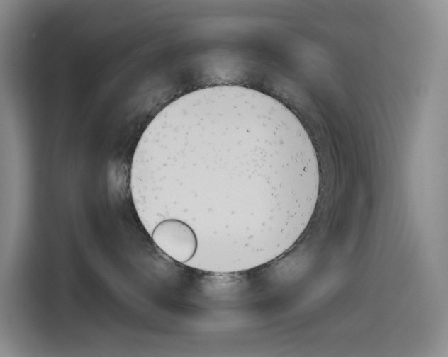 X0000114550672200910190952