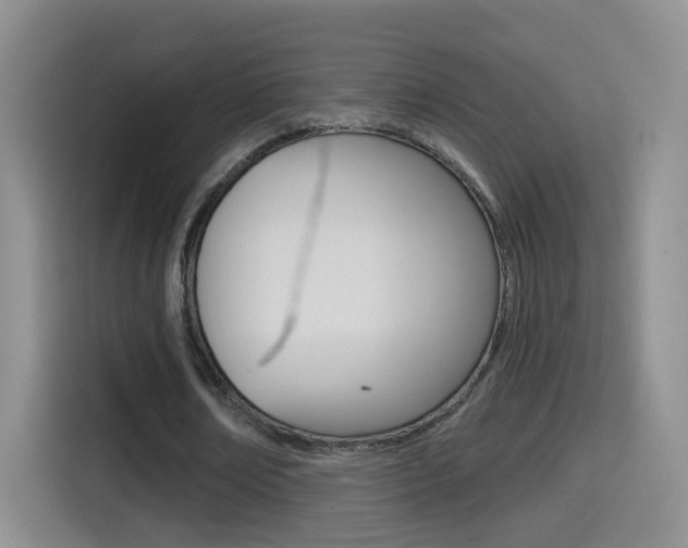 X0000114550674200910190952