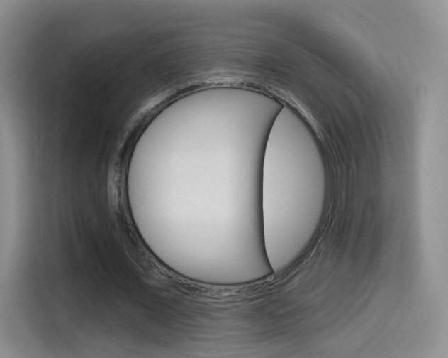X0000114550675200910190952