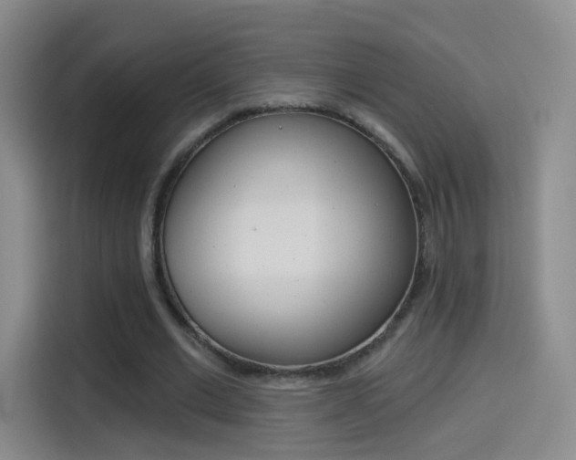X0000114550677200910190952