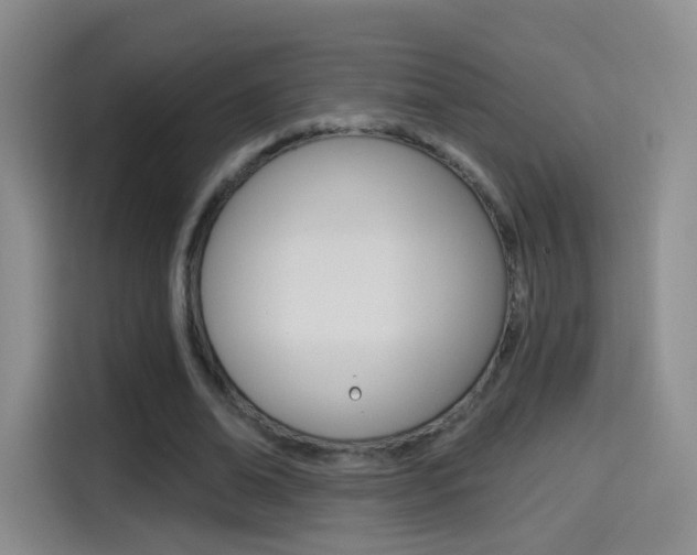 X0000114550678200910190952