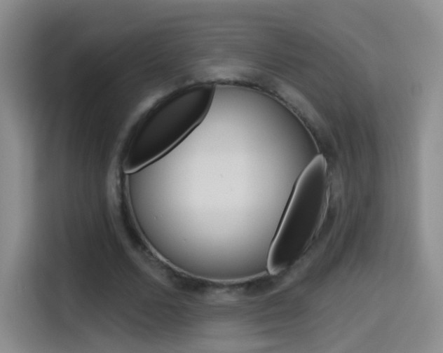 X0000114550680200910190952