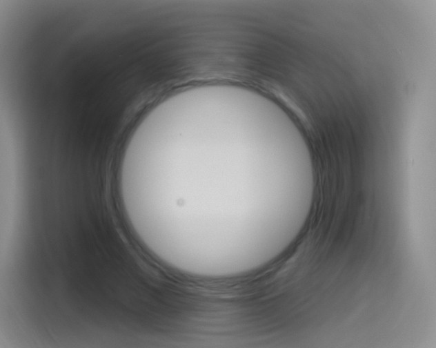 X0000114550685200910190952