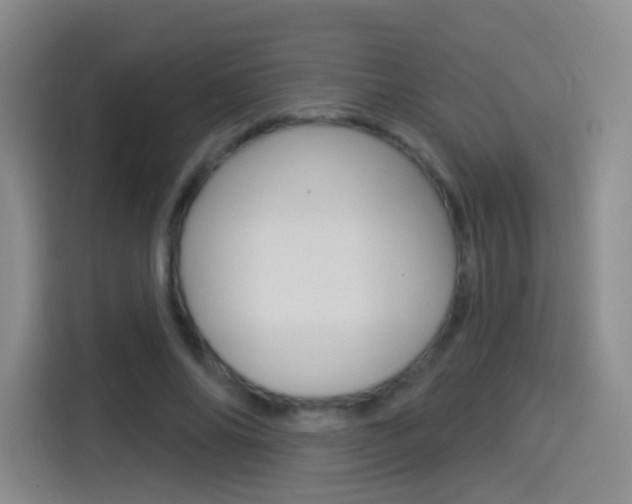 X0000114550686200910190952