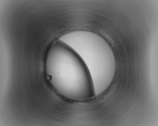 X0000114550689200910190951