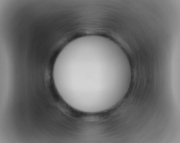X0000114550691200910190951
