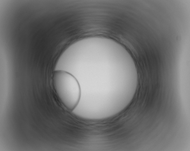 X0000114550693200910190951