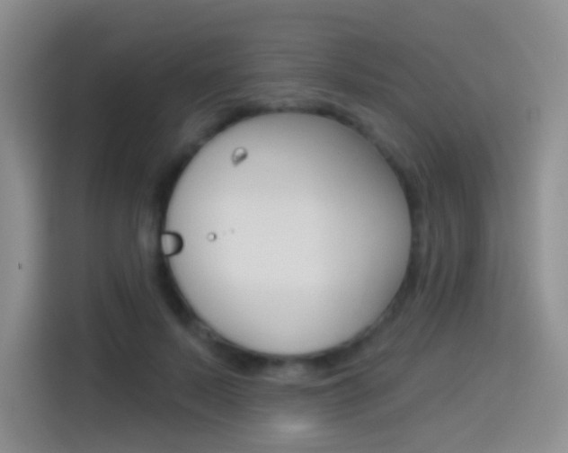 X0000114550695200910190951