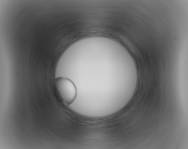 X0000114550696200910190951