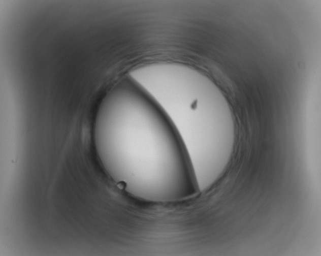 X0000114550697200910190951
