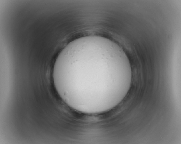 X0000114550698200910190951
