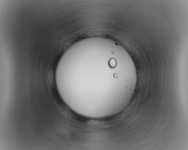 X0000114550699200910190951