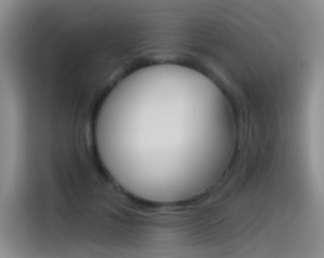 X0000114550700200910190951