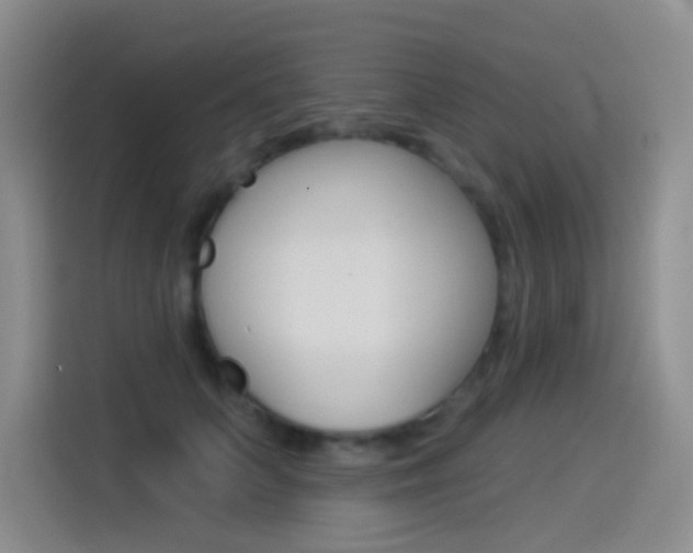 X0000114550703200910190951