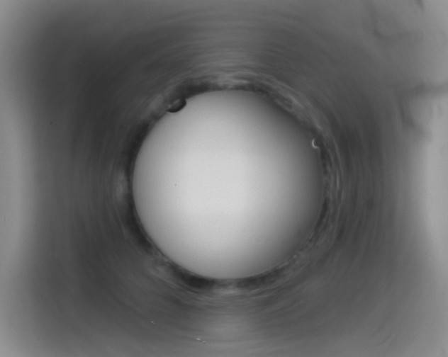 X0000114550704200910190951
