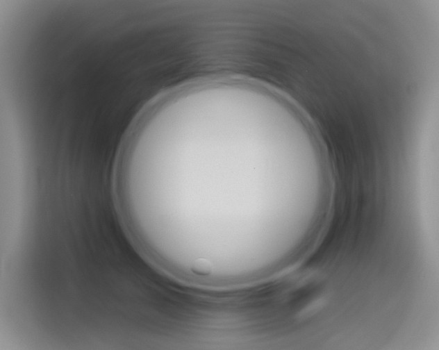 X0000114550705200910190951