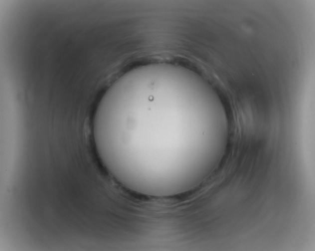 X0000114550707200910190951