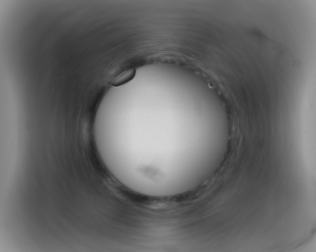 X0000114550708200910190951