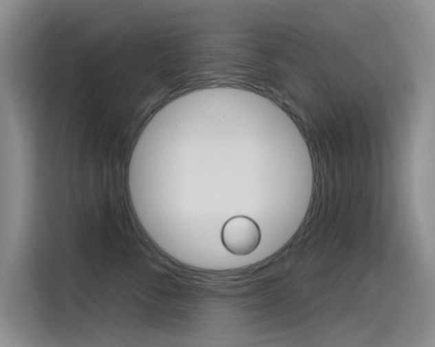 X0000114550716200910190951