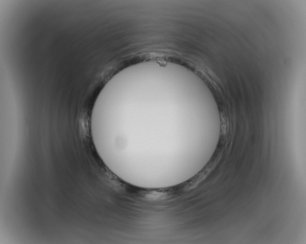 X0000114550718200910190951
