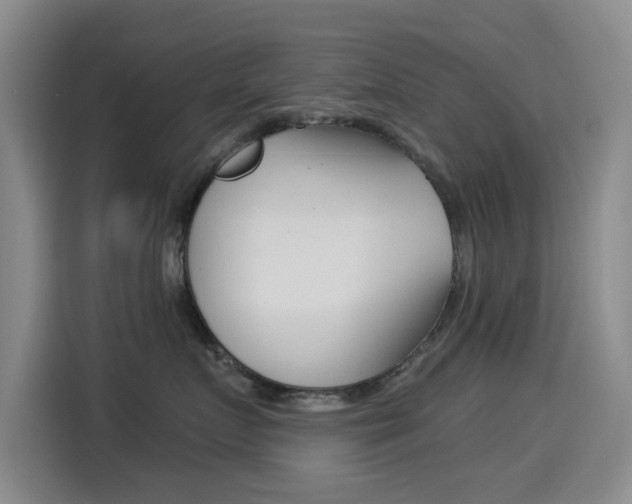 X0000114550719200910190951