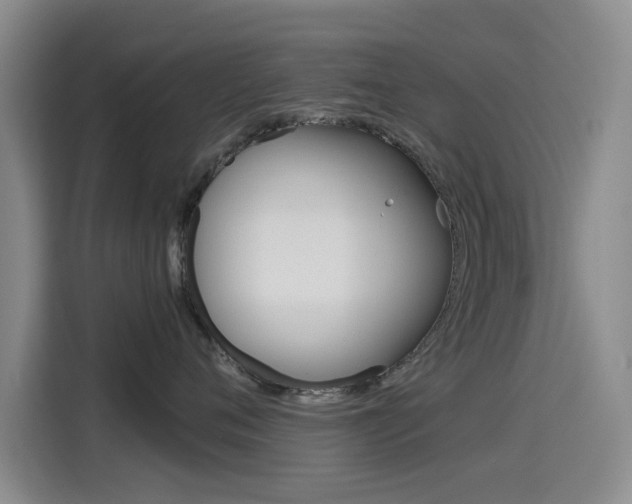 X0000114550720200910190951