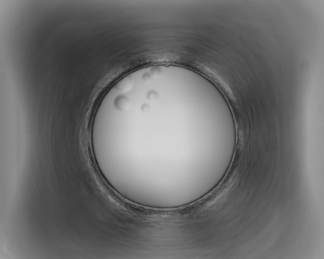 X0000114550721200910190950