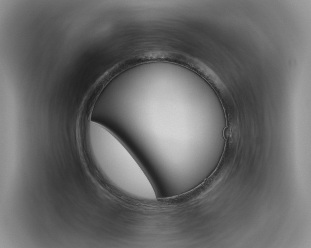 X0000114550722200910190950
