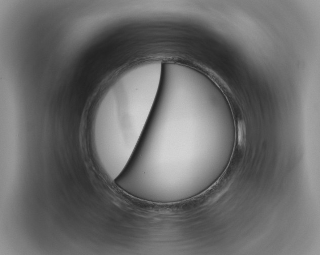 X0000114550723200910190950