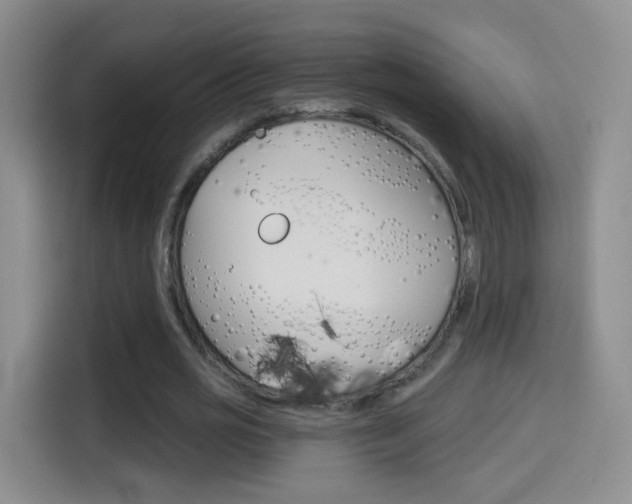 X0000114550725200910190951