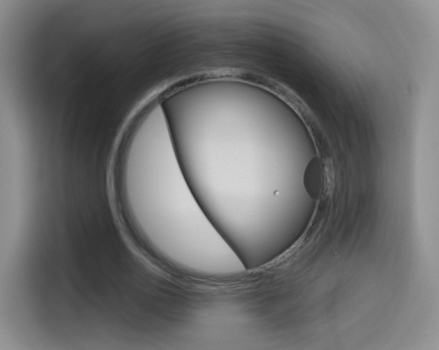 X0000114550726200910190951