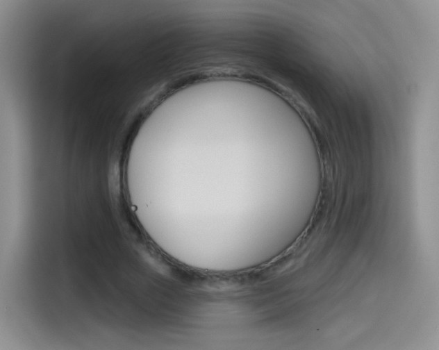 X0000114550729200910190951