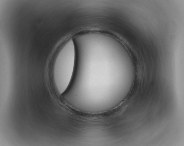 X0000114550731200910190951