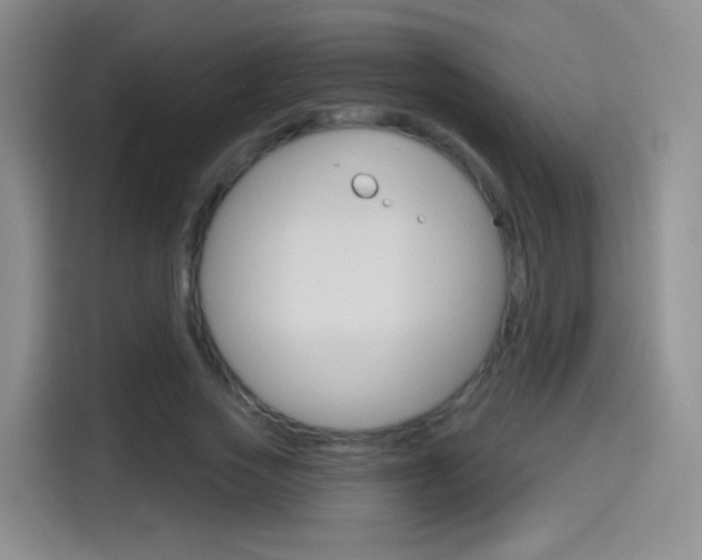 X0000114550733200910190951