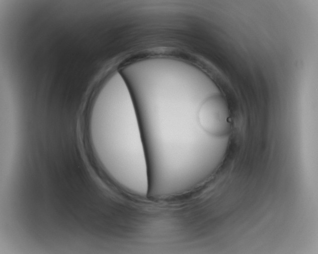 X0000114550734200910190951