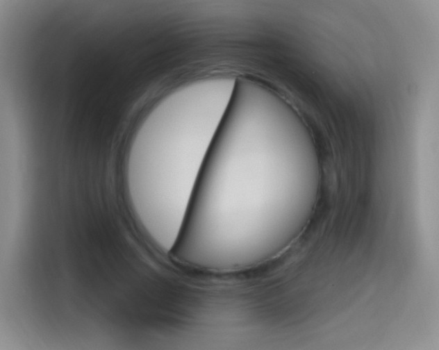 X0000114550735200910190951