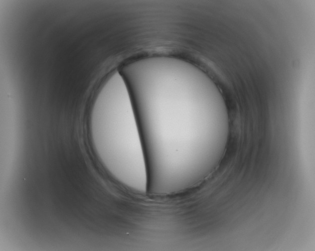 X0000114550738200910190951