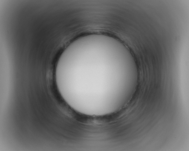 X0000114550739200910190951