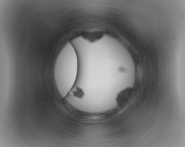 X0000114550741200910190951