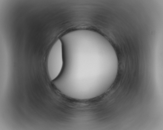 X0000114550743200910190951