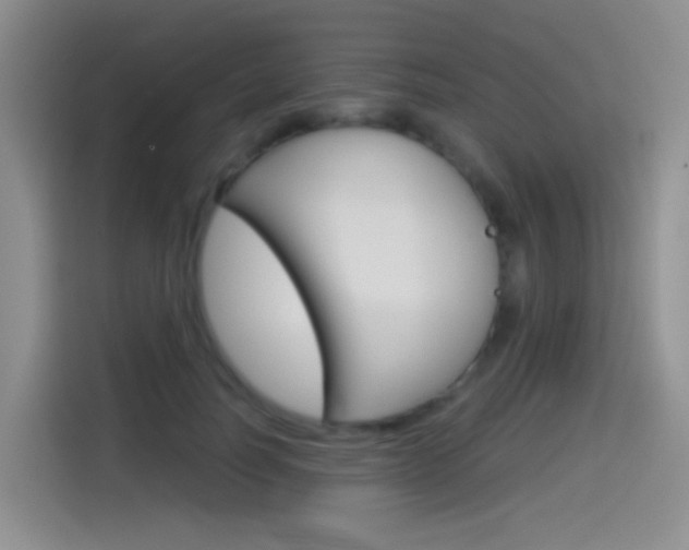 X0000114550746200910190951
